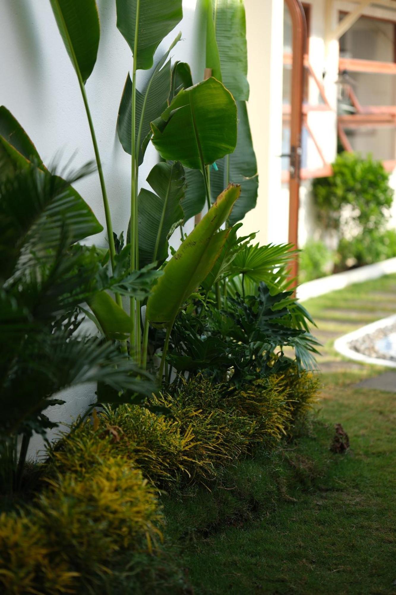 Mon House Hotel Phan Thiet Exterior foto